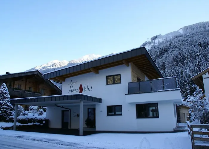 Daire Herzblut Mayrhofen