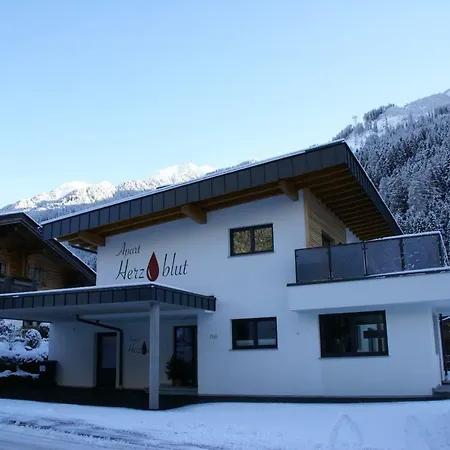 Daire Herzblut Mayrhofen